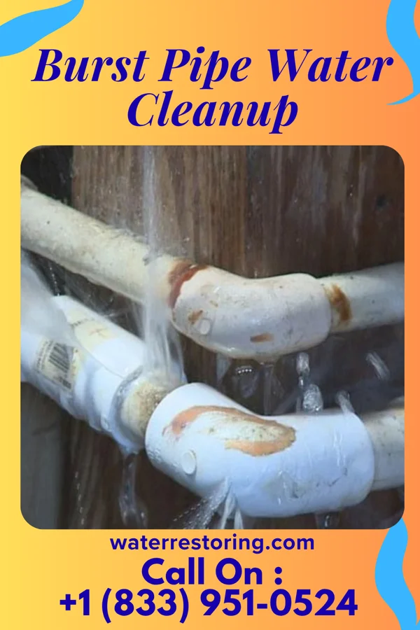 Burst Pipe Water Cleanup in Cherry Valley, PA