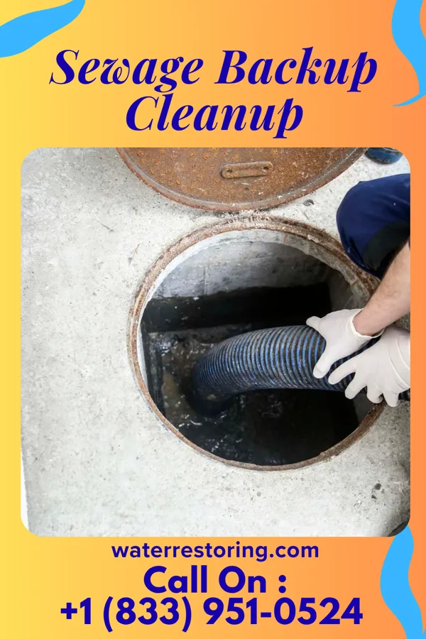 Sewage Backup Cleanup in Cherry Valley, PA